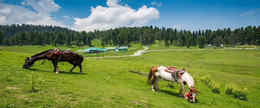 gulmarg1