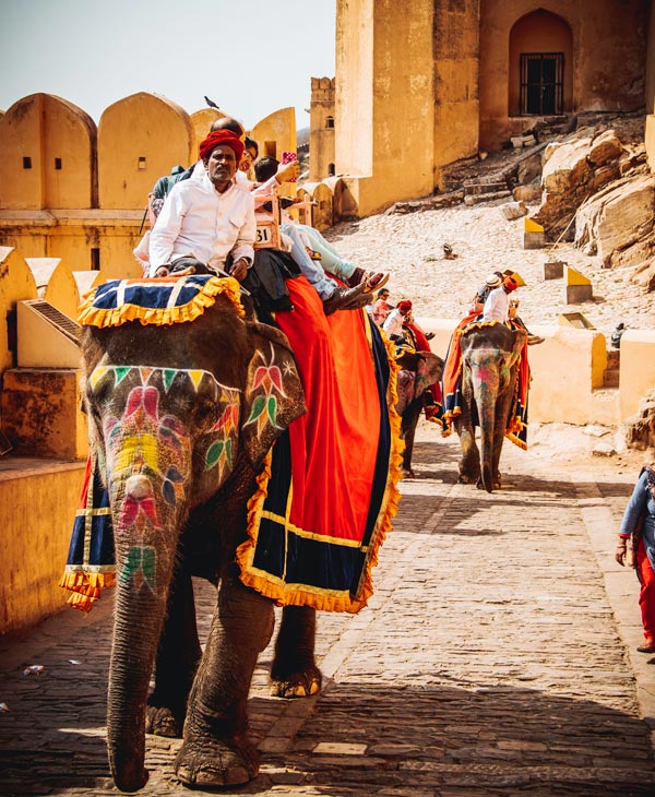 jaipur
