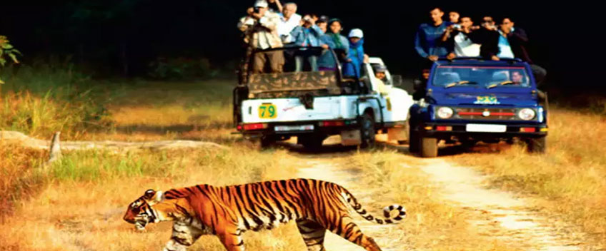 Jim Corbett