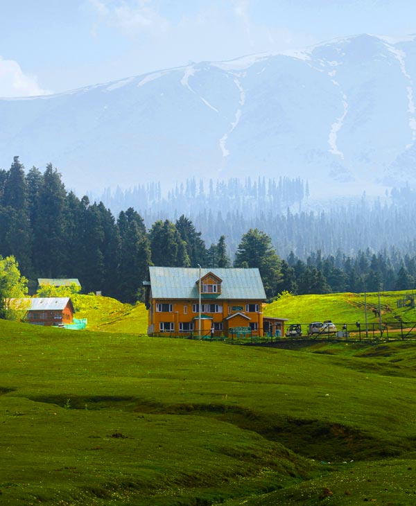 kashmir
