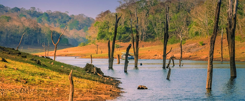 periyar1