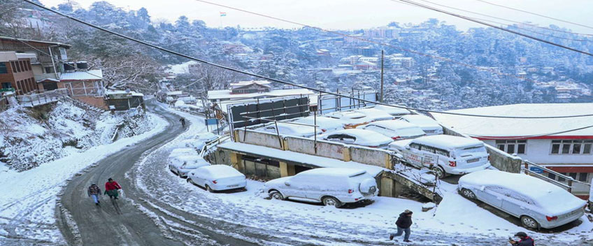 shimlasnowfall