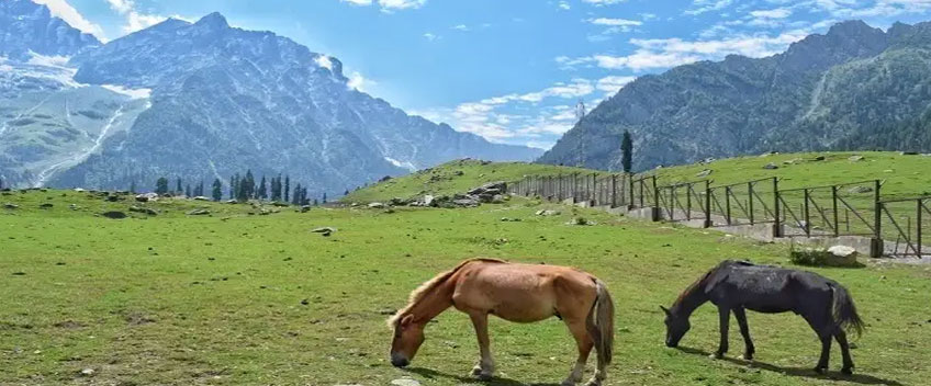 sonmarg